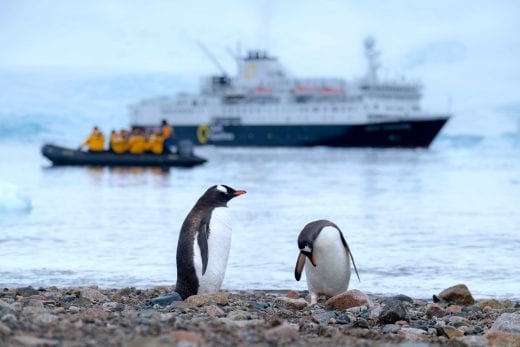 penguins with antarctica cruise